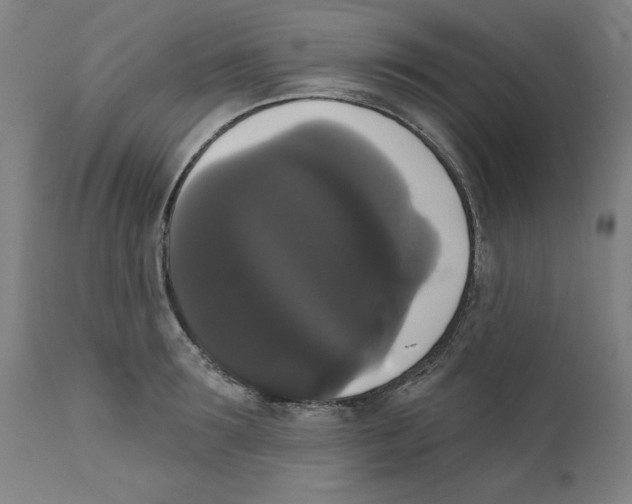 X0000111520899200908111200