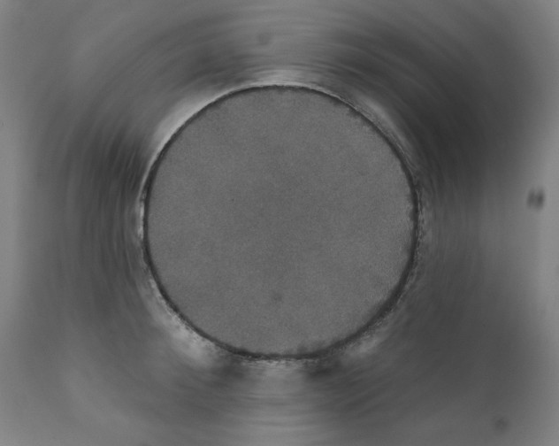 X0000111520900200908111200