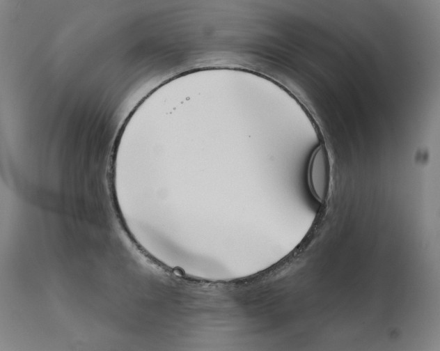 X0000111520901200908111200