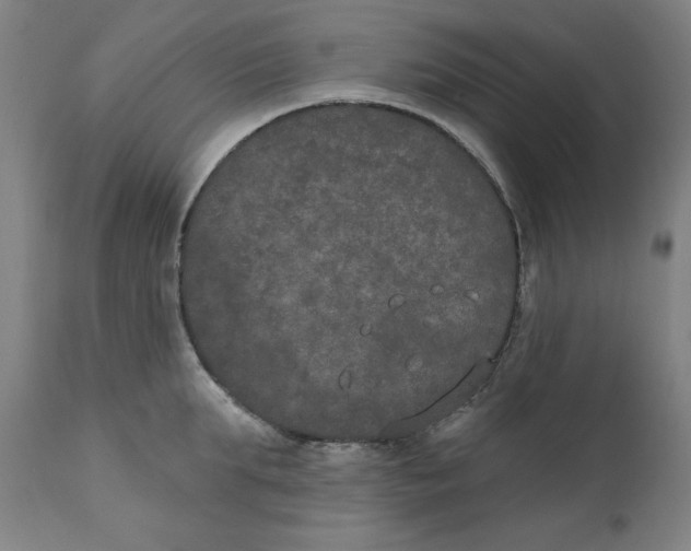 X0000111520903200908111200