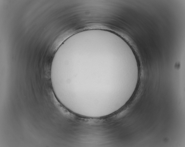 X0000111520905200908111200