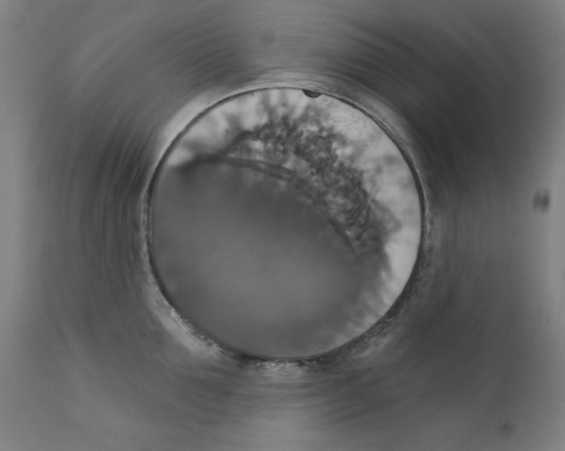 X0000111520907200908111200