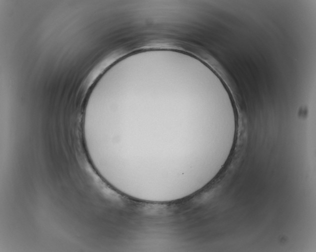 X0000111520909200908111159