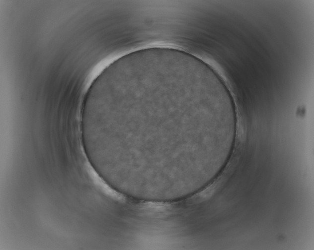 X0000111520910200908111159