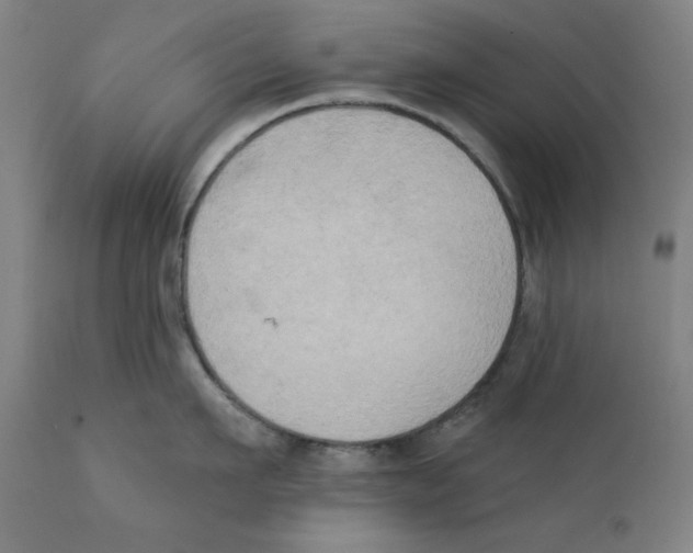 X0000111520911200908111159