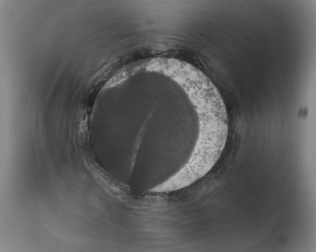 X0000111520914200908111158