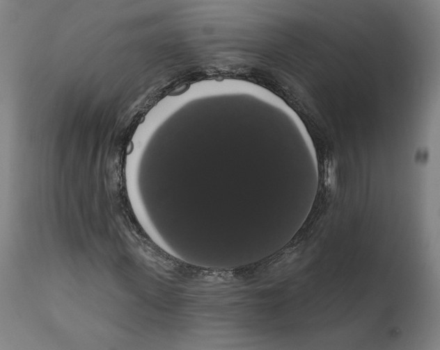 X0000111520915200908111158