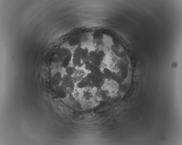 X0000111520917200908111159