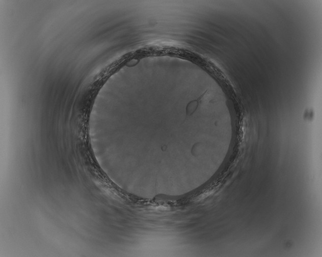 X0000111520919200908111159