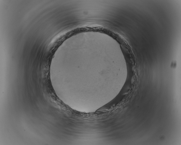 X0000111520920200908111159