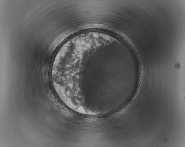X0000111520921200908111159