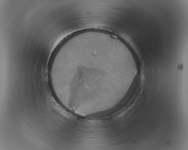 X0000111520924200908111159