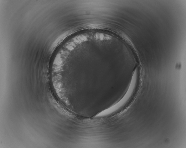 X0000111520930200908111159