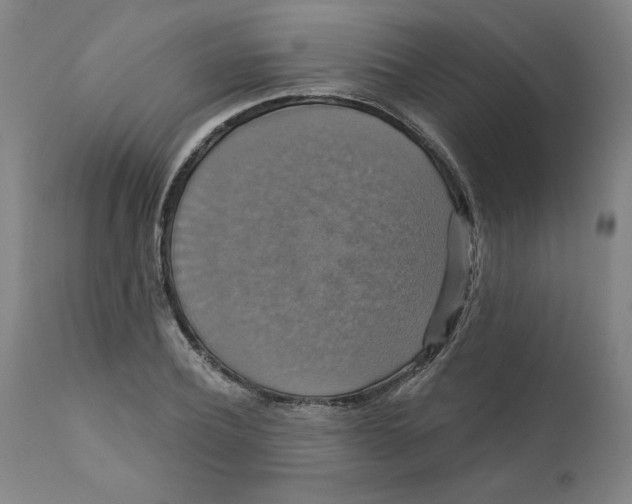 X0000111520932200908111159