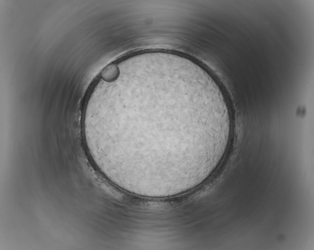X0000111520933200908111159