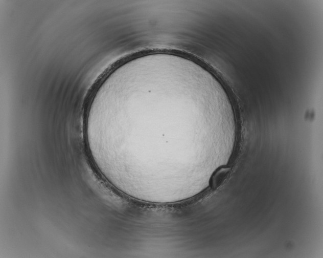 X0000111520934200908111159