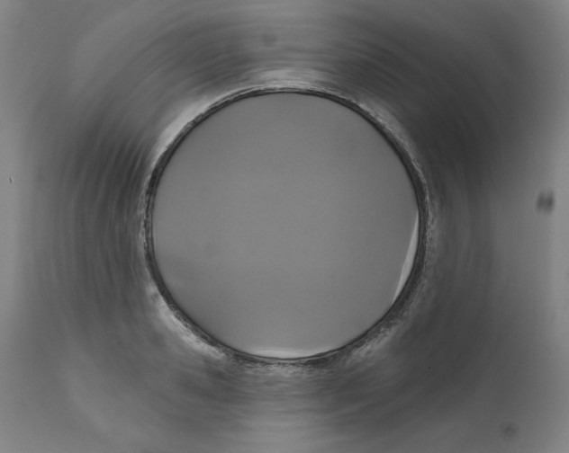 X0000111520941200908111159