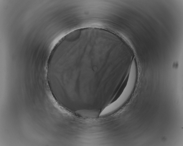 X0000111520944200908111159