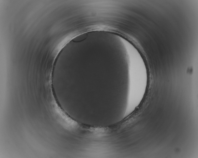 X0000111520946200908111159