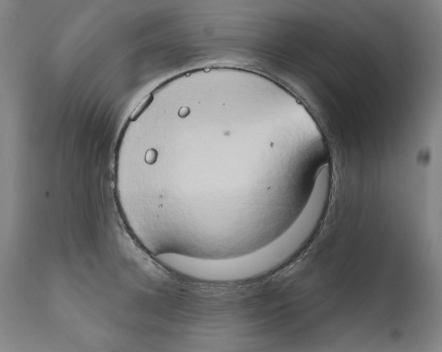 X0000111520948200908111159