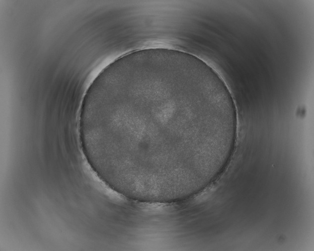 X0000111520949200908111159