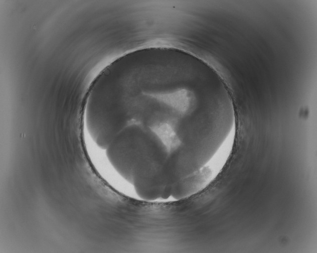 X0000111520950200908111159