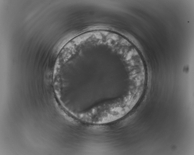 X0000111520953200908111159