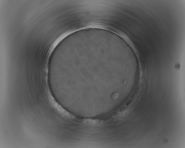 X0000111520955200908111159