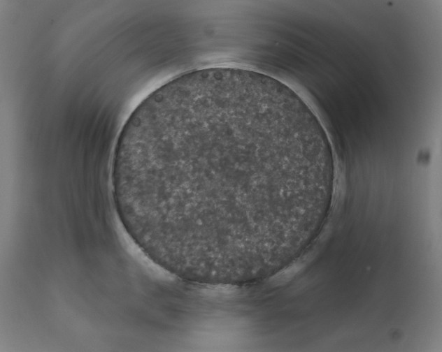 X0000111520957200908111159