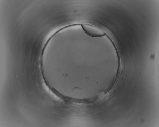 X0000111520958200908111159