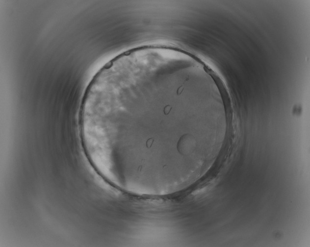 X0000111520959200908111159