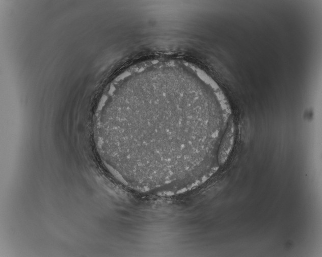X0000111520961200908111158