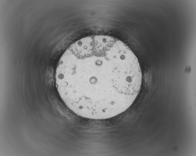 X0000111520963200908111158