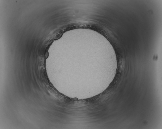 X0000111520964200908111158