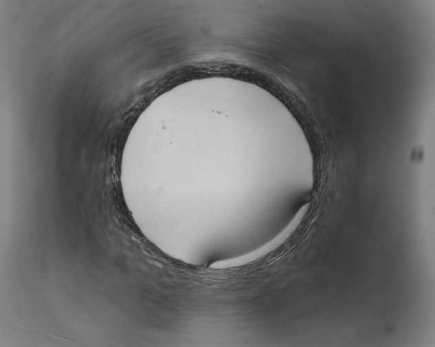 X0000111520965200908111158