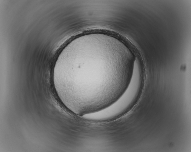 X0000111520969200908111158