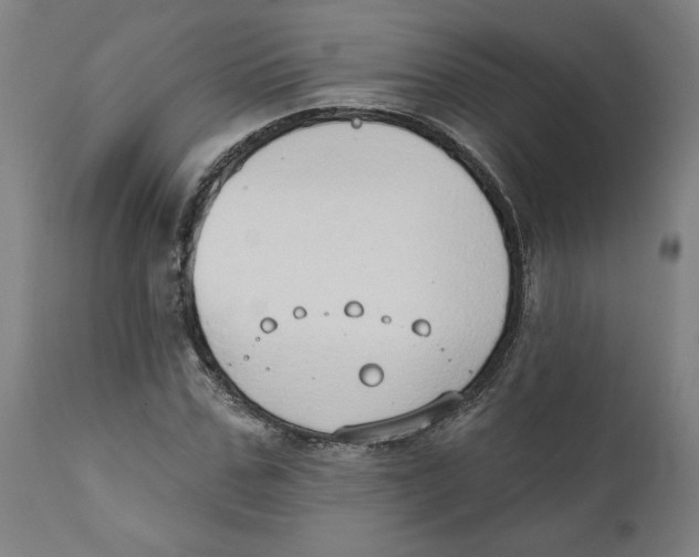X0000111520971200908111158