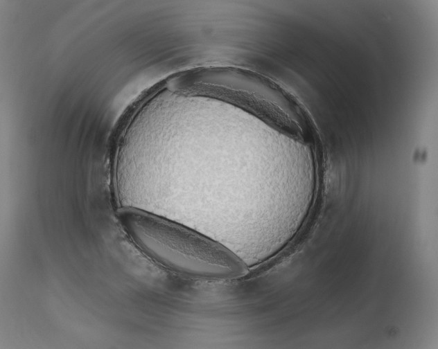 X0000111520973200908111158