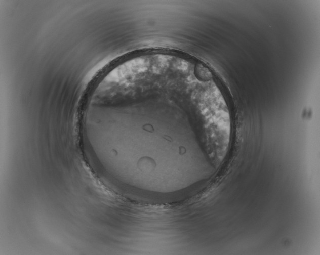X0000111520975200908111158