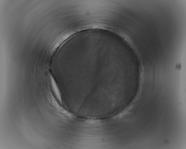 X0000111520977200908111158