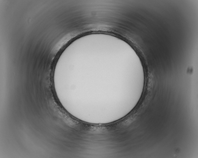 X0000111520978200908111158