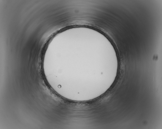 X0000111520979200908111158