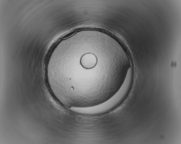 X0000111520981200908111158