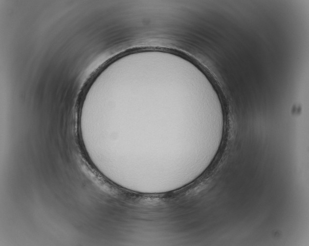X0000111520982200908111158