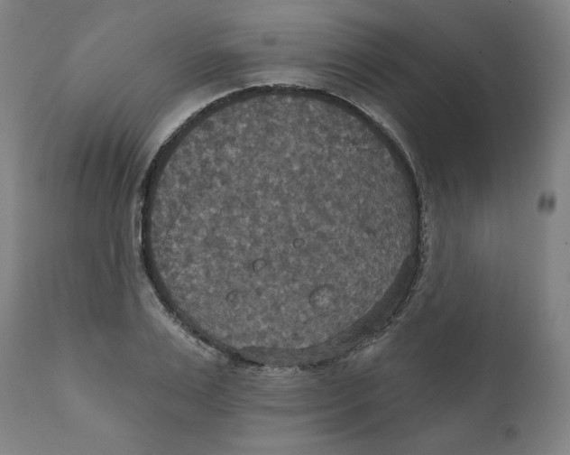 X0000111520983200908111158