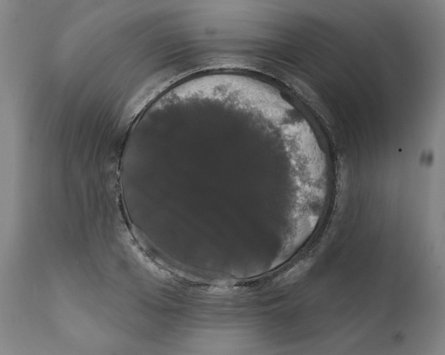 X0000111520985200908111158