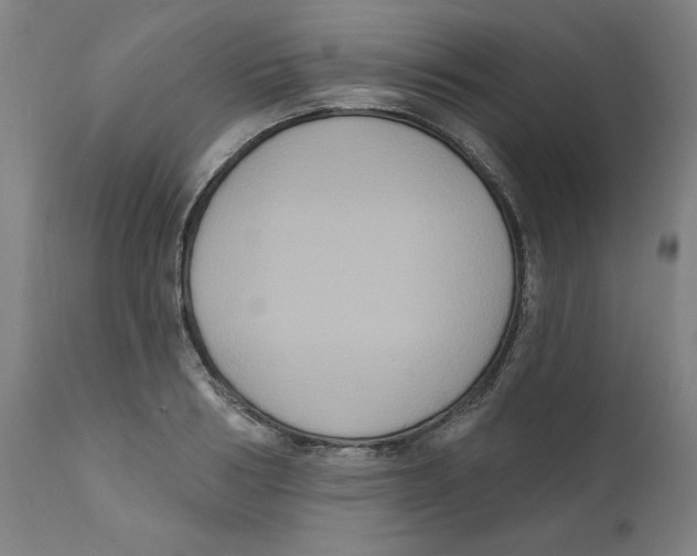 X0000111520986200908111158