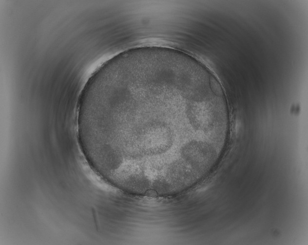 X0000111520987200908111158