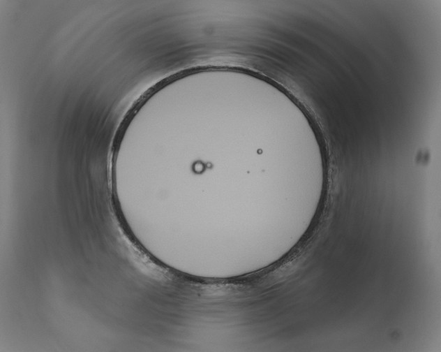 X0000111520988200908111158