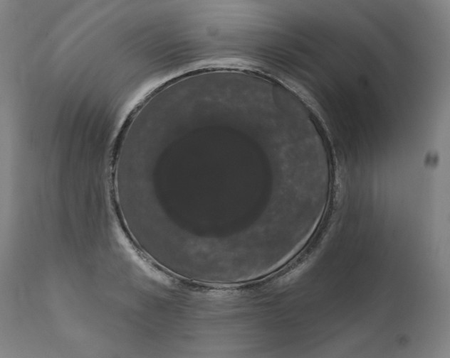 X0000111520989200908111158